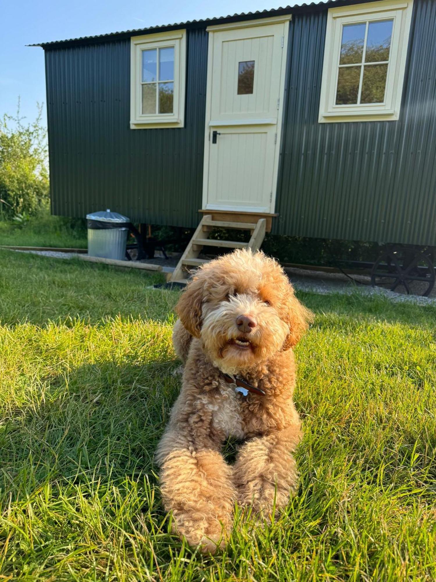 Campsite Hill Hideaway Shepherds Hut With Hot Tub Woodham Mortimer