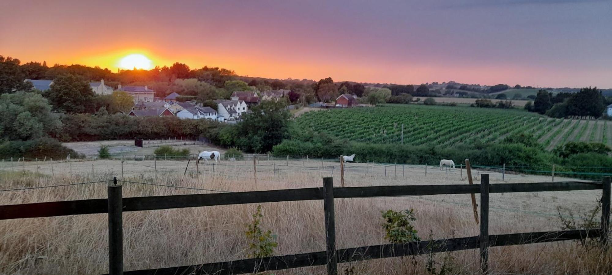 Hill Hideaway Shepherds Hut With Hot Tub * Woodham Mortimer